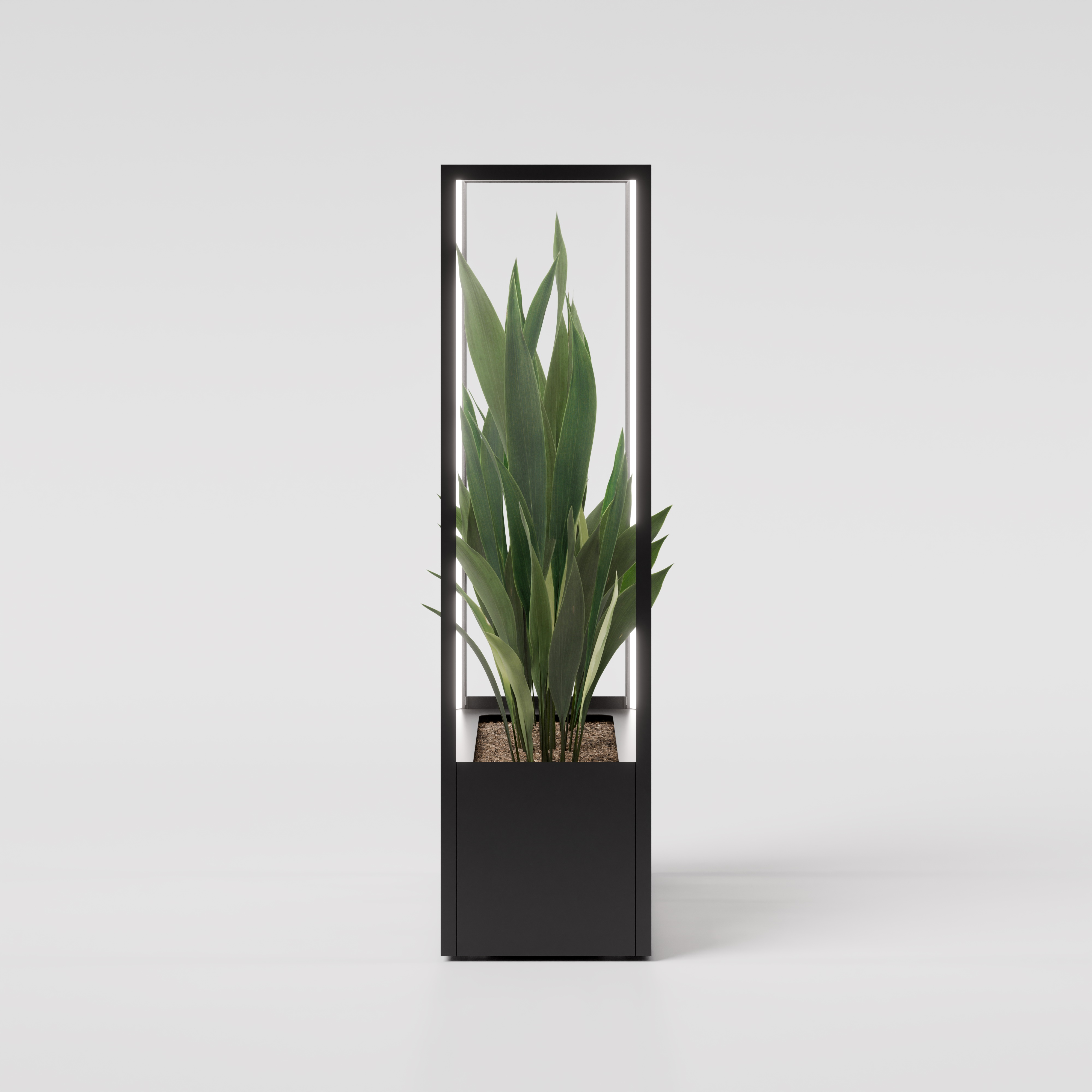 CUBE planted wall 1150 x 1900