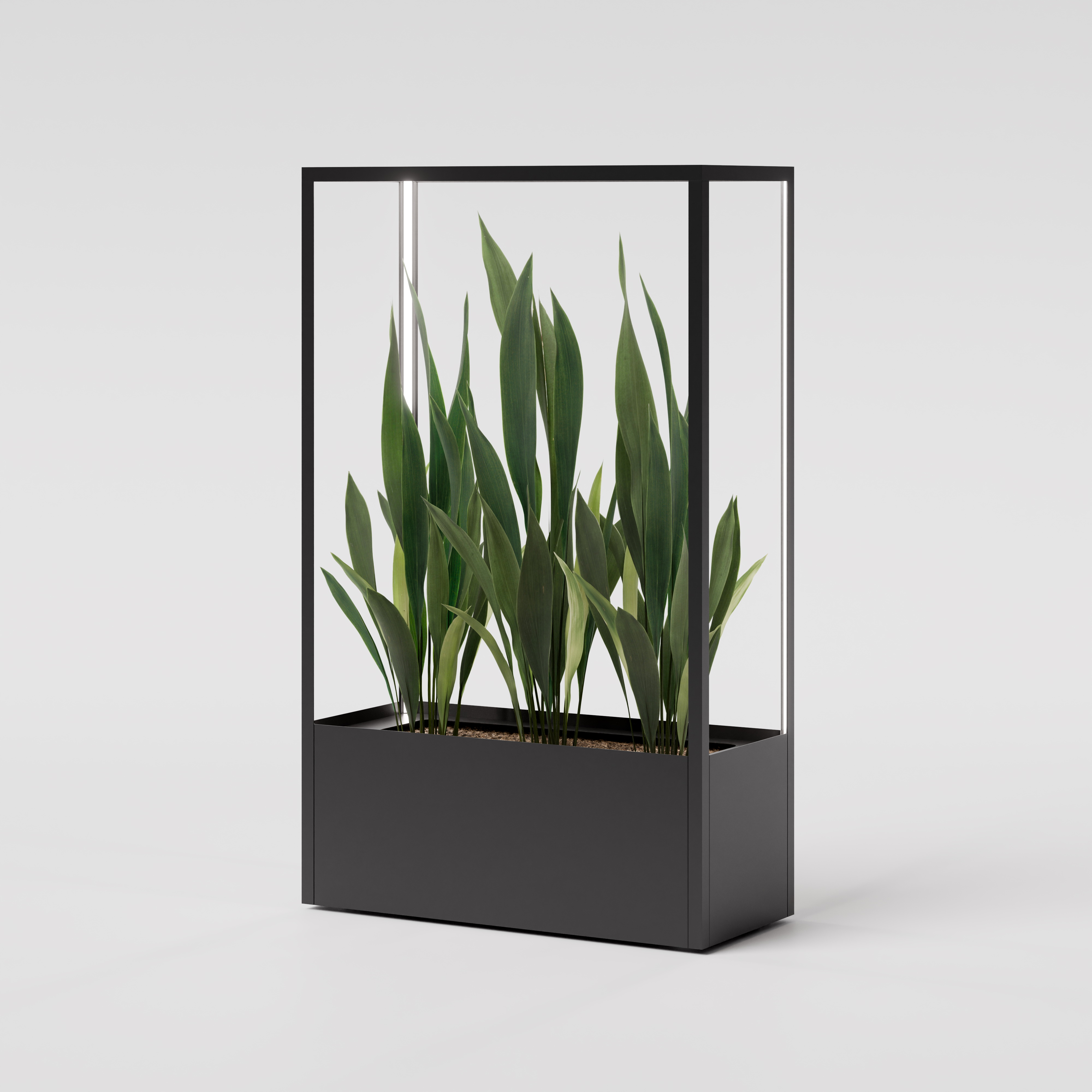 CUBE planted wall 1150 x 1900