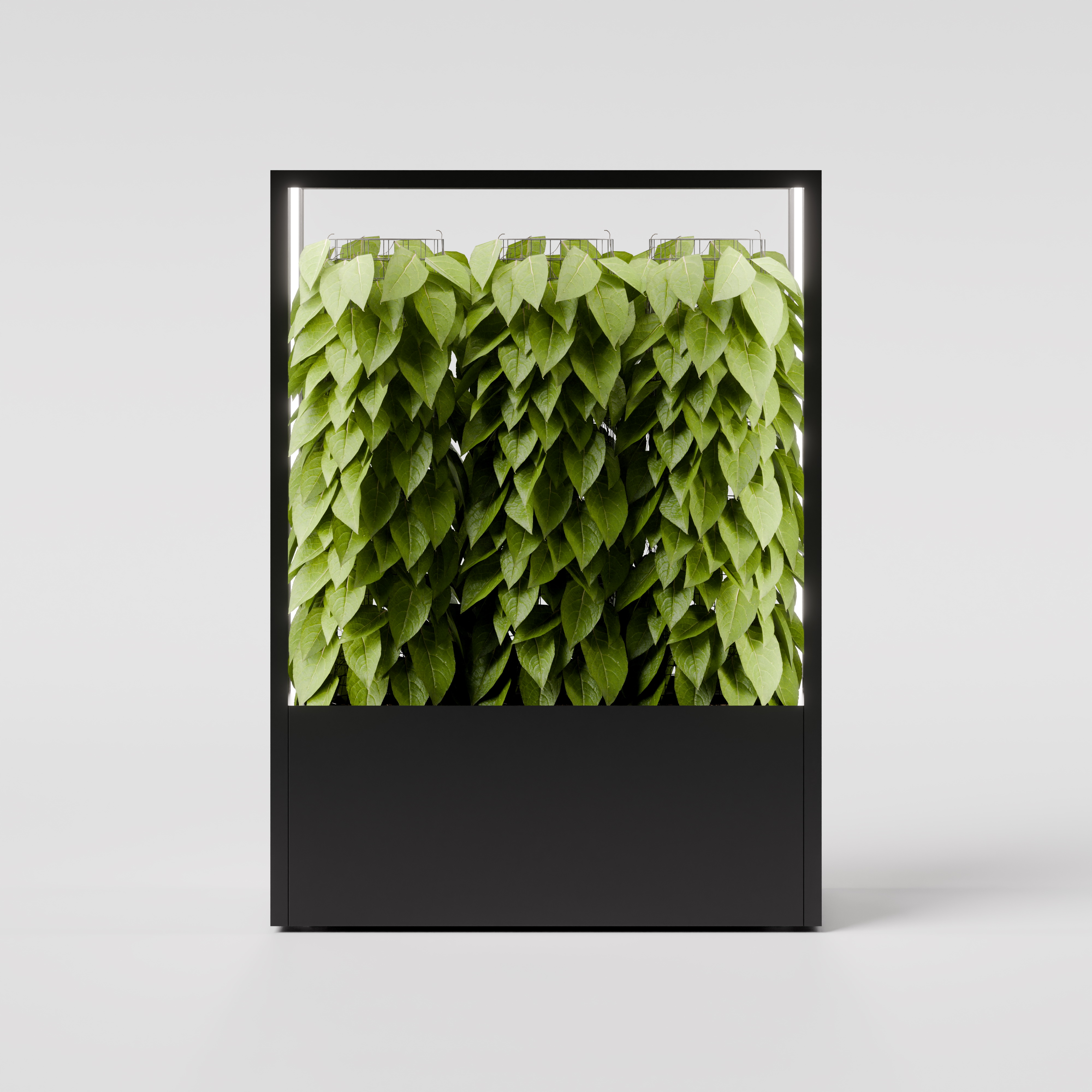 CUBE planted wall 1150 x 1600