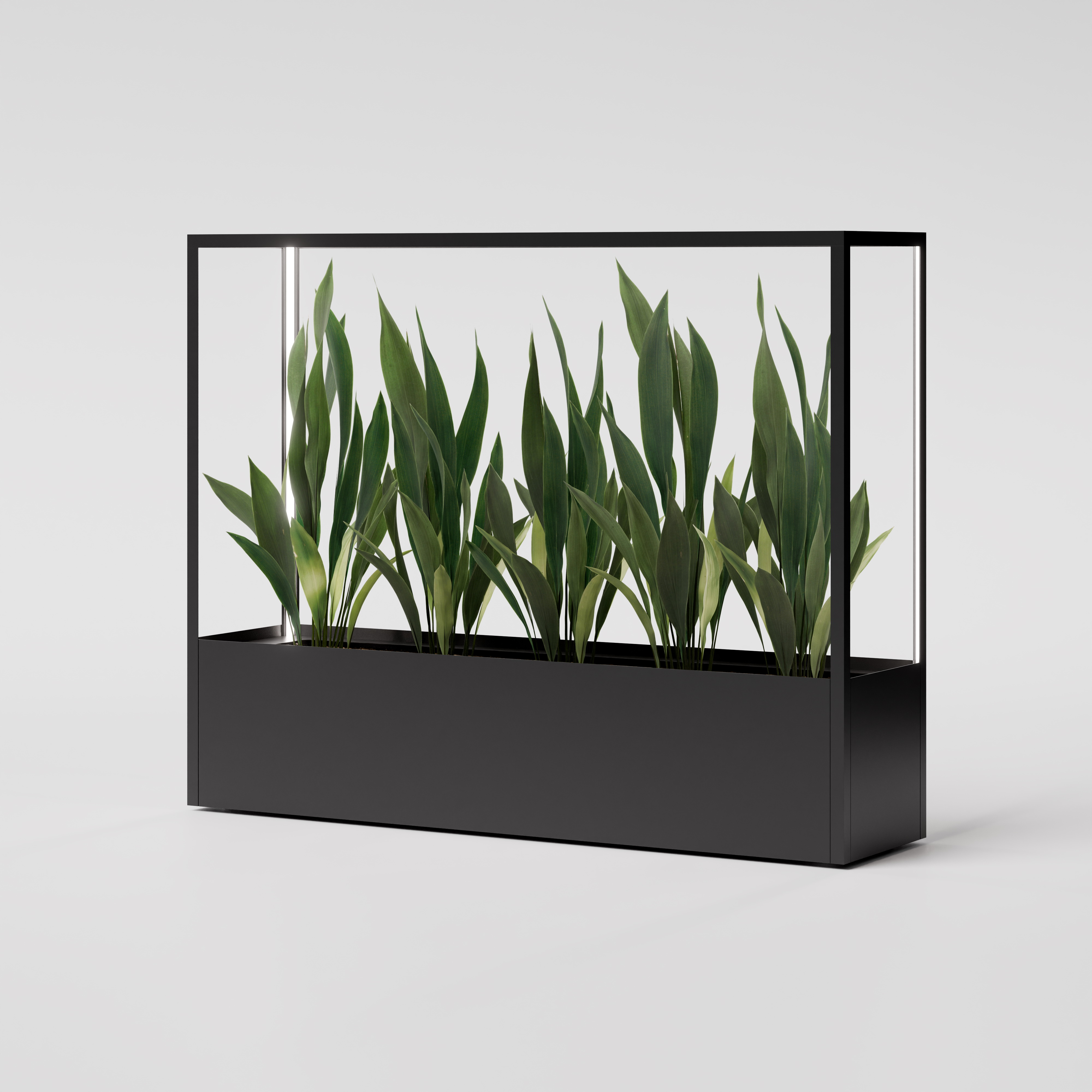 CUBE planted wall 2000 x 1600