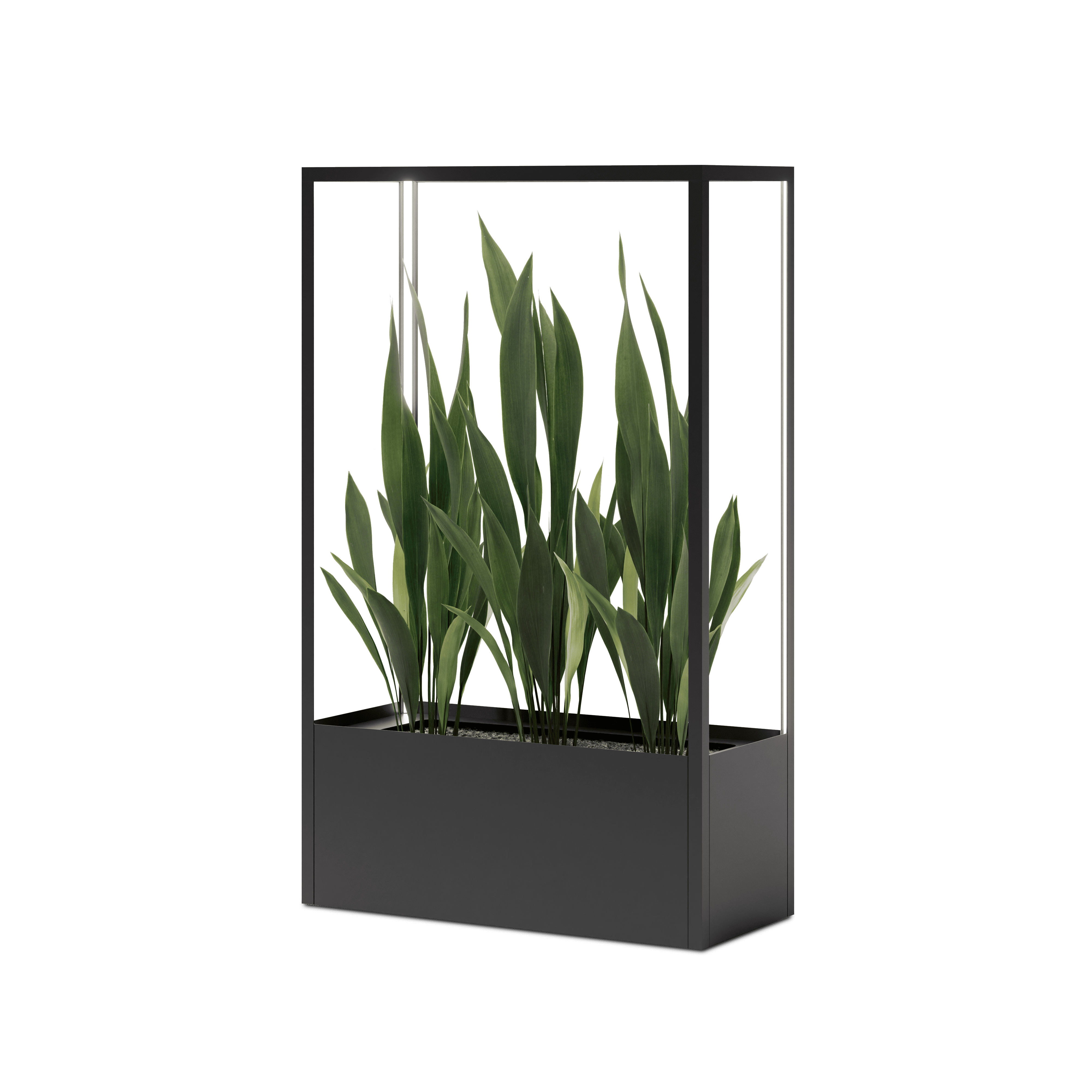 CUBE planted wall 1150 x 1900