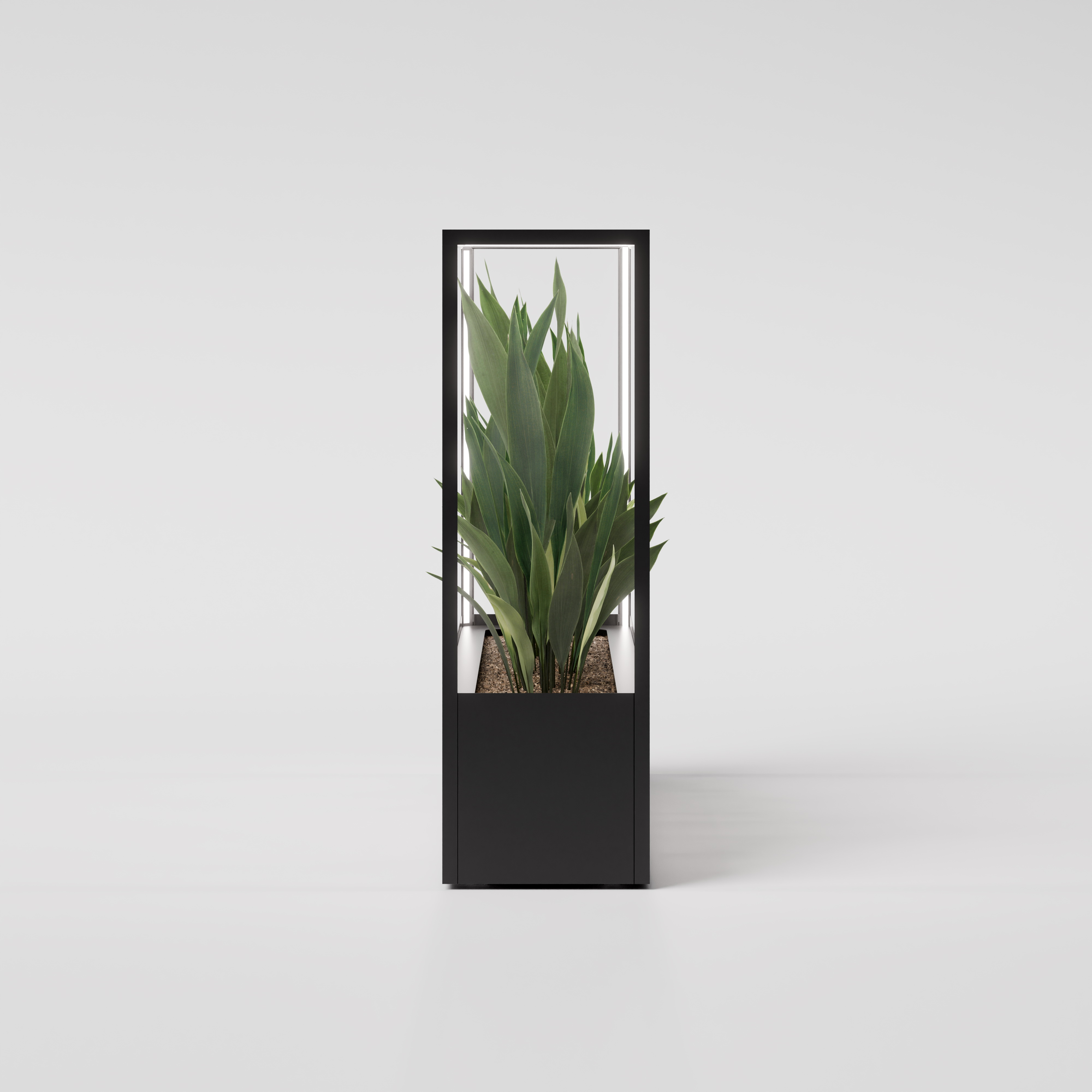 CUBE planted wall 2000 x 1600
