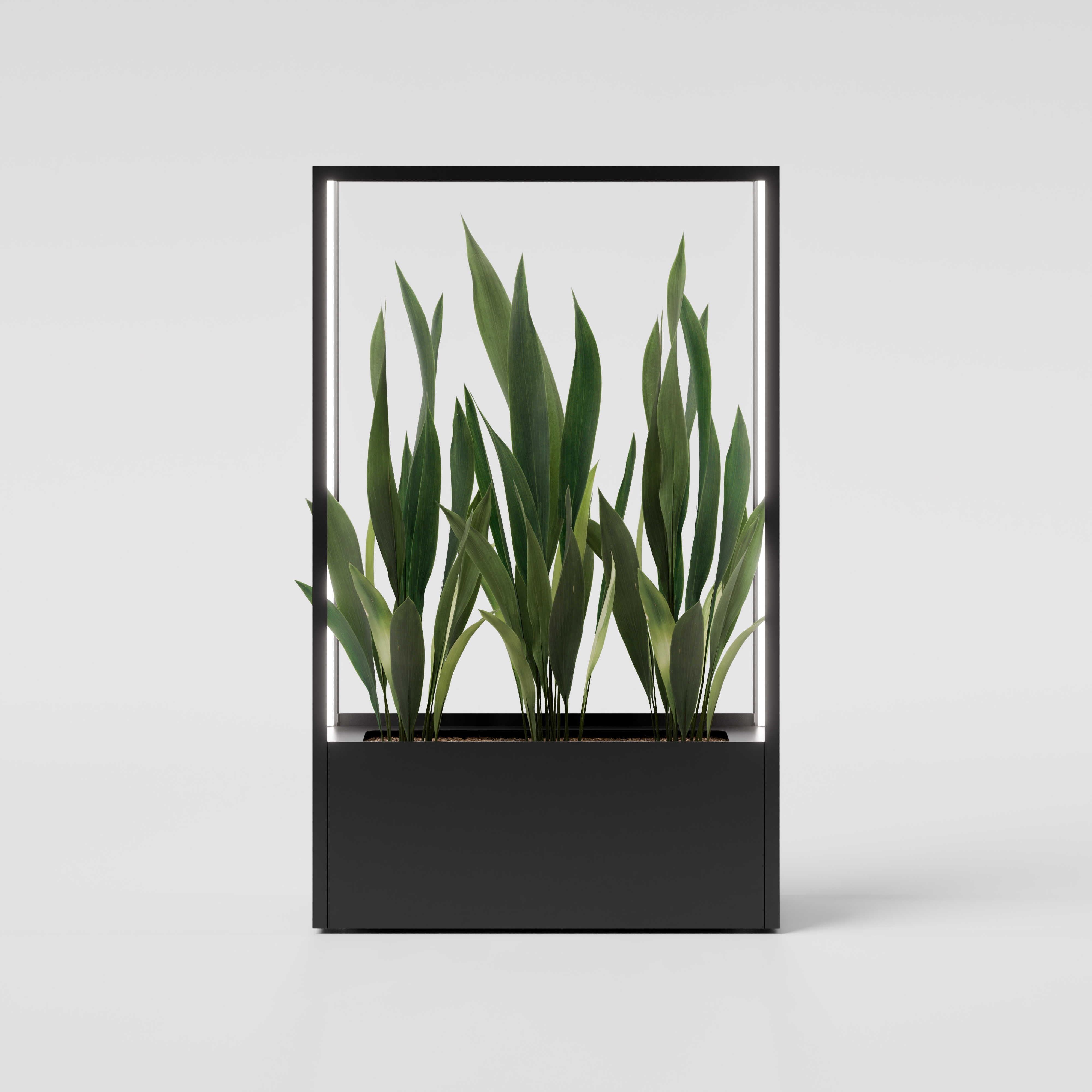 CUBE planted wall 1150 x 1900