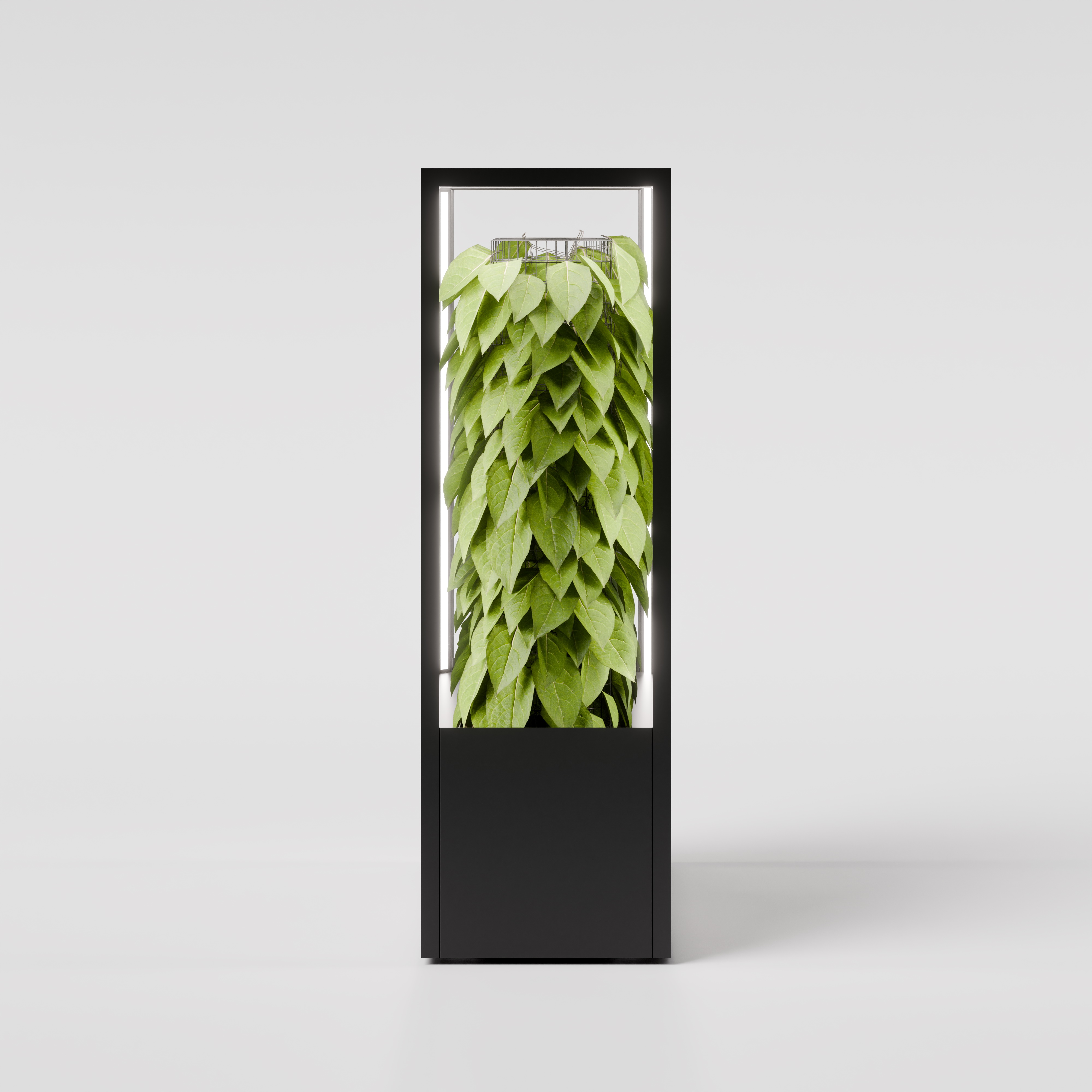 CUBE planted wall 1150 x 1600