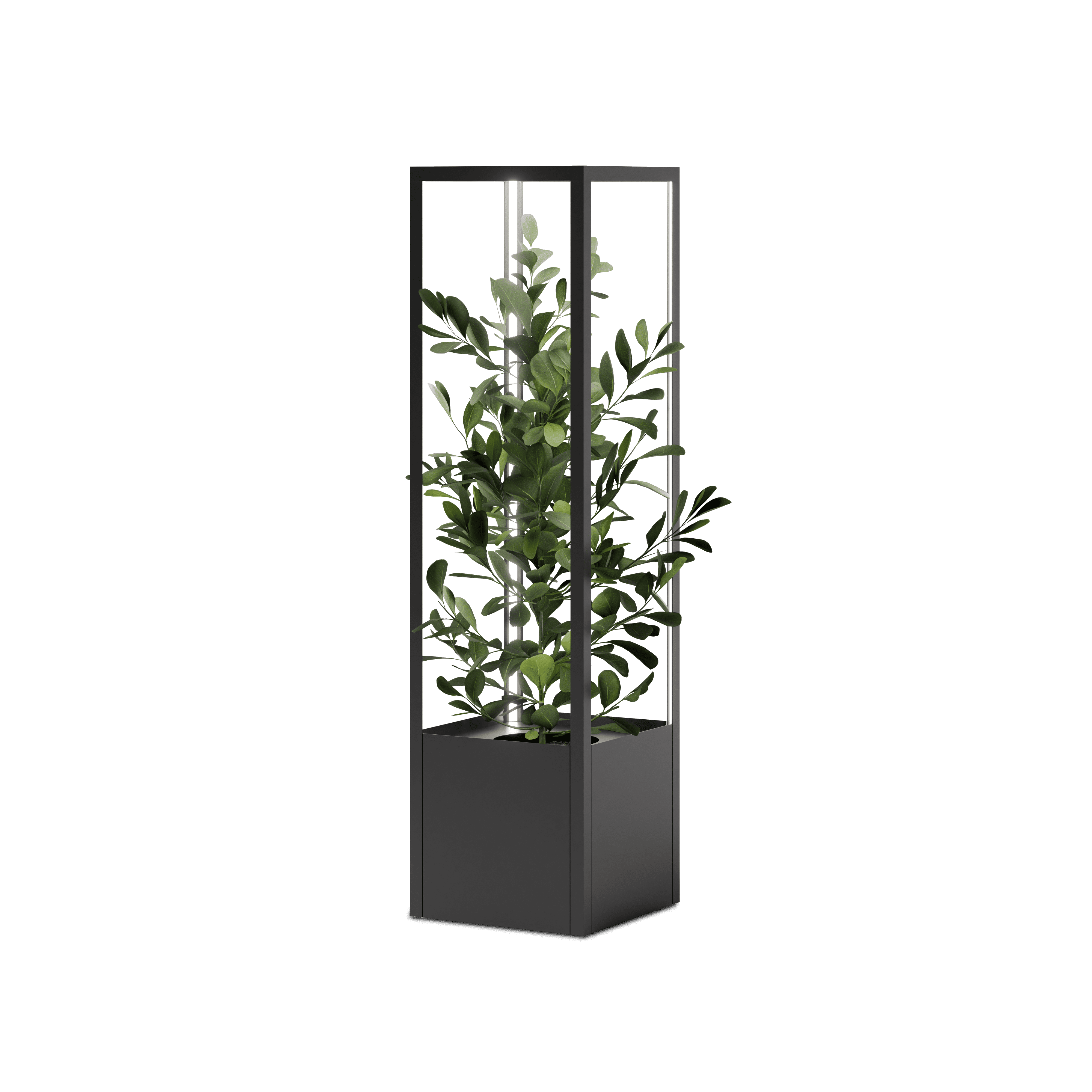 CUBE planted tower 1900