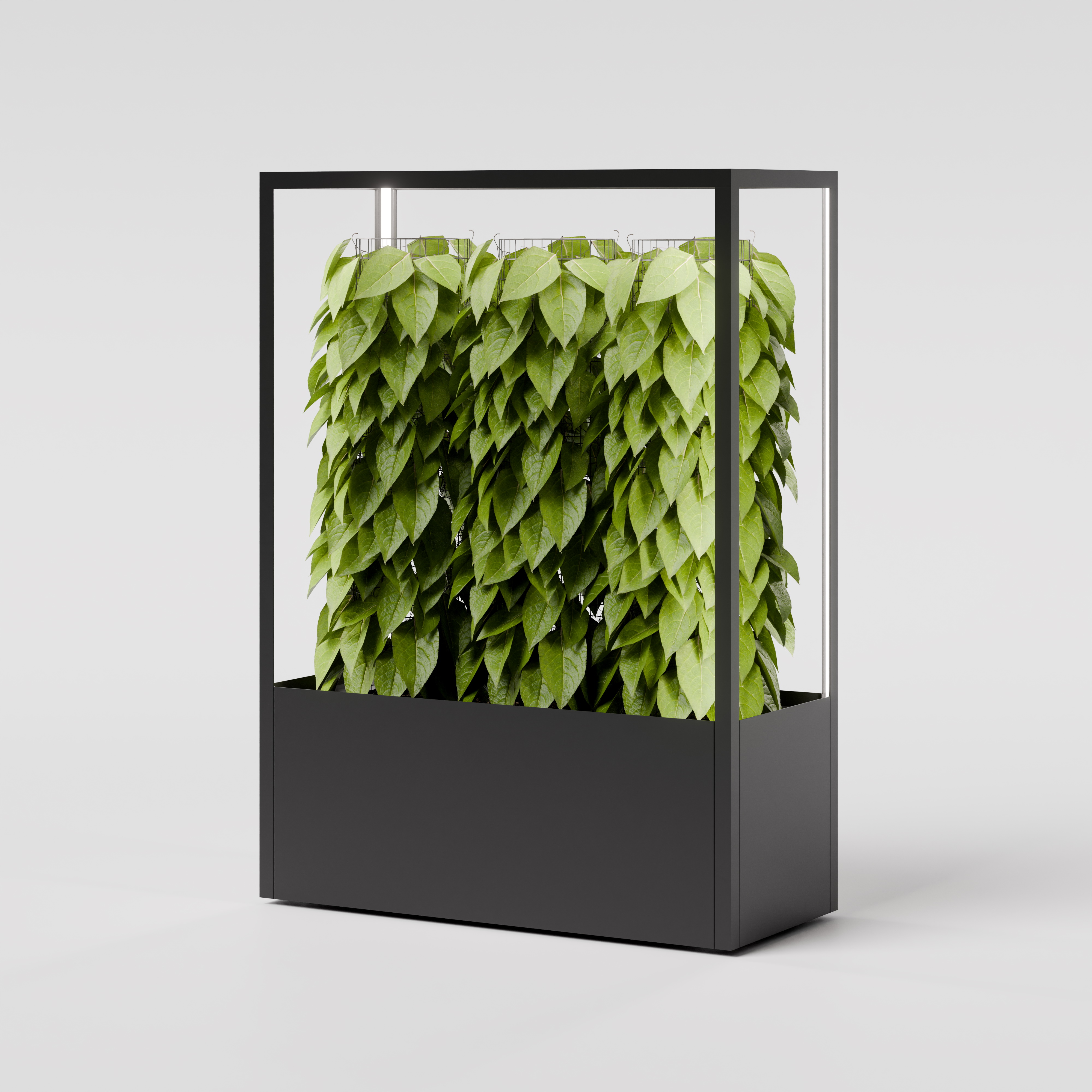 CUBE planted wall 1150 x 1600