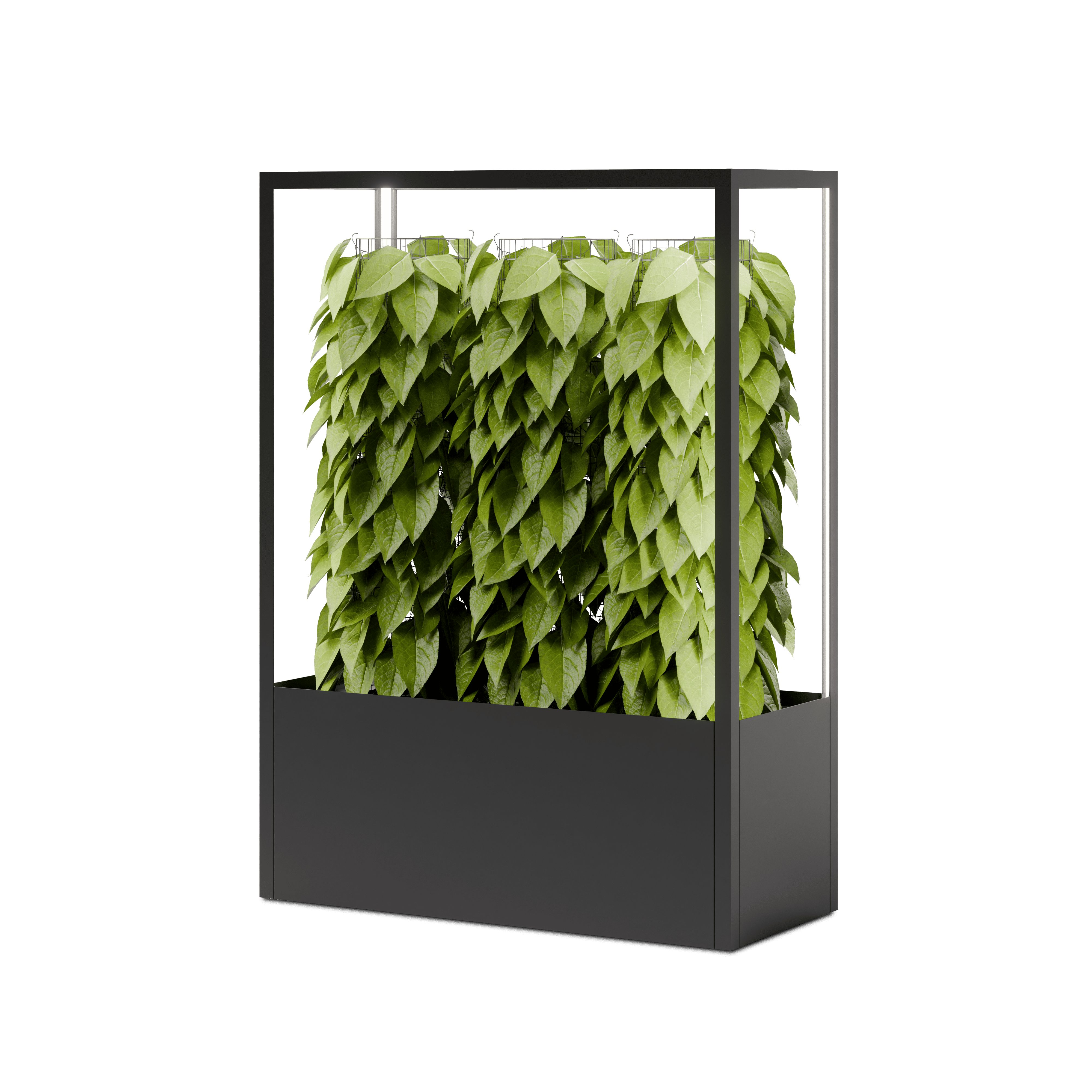 CUBE planted wall 1150 x 1600