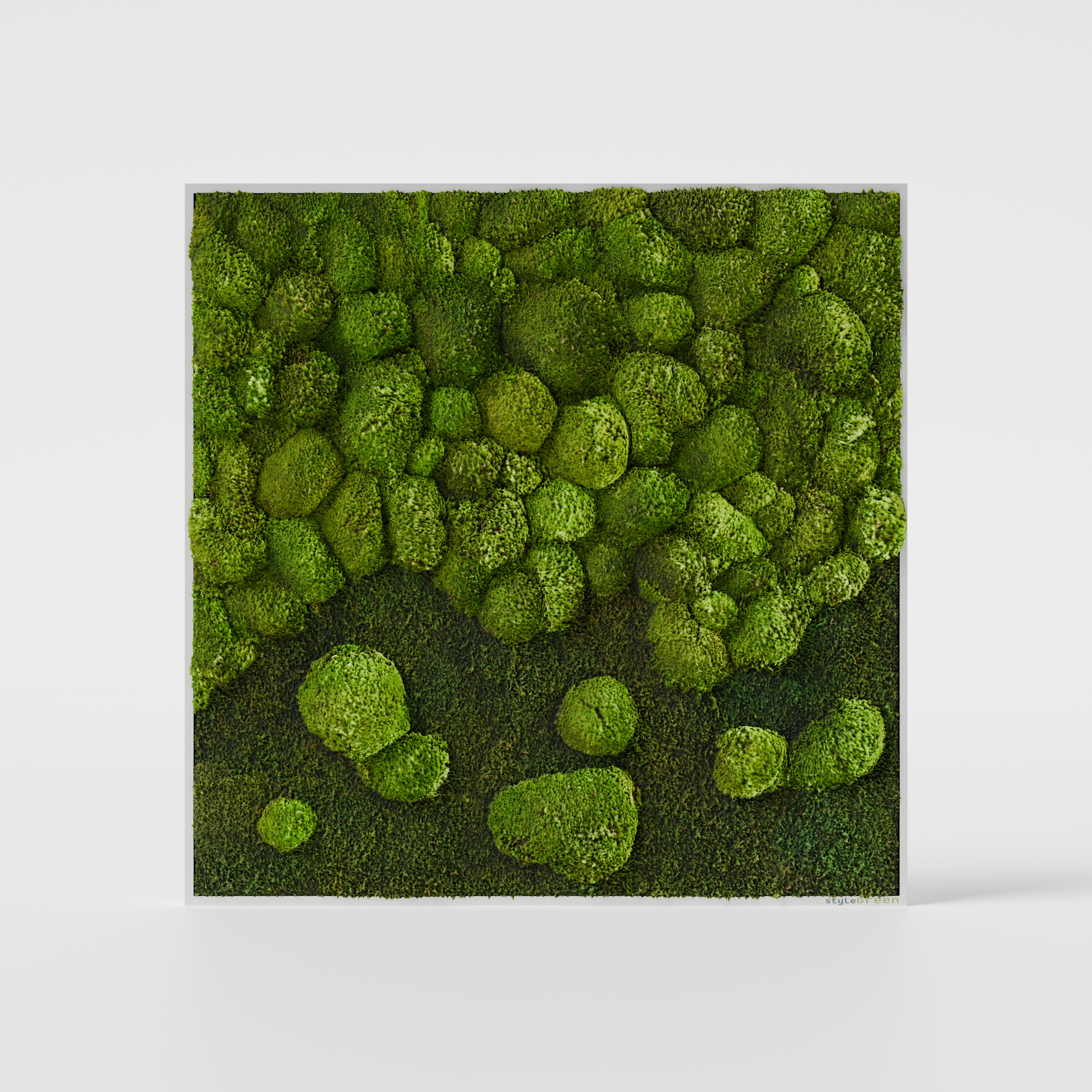 Wald- und Kugelmoosbild Verlauf 80x80 cm