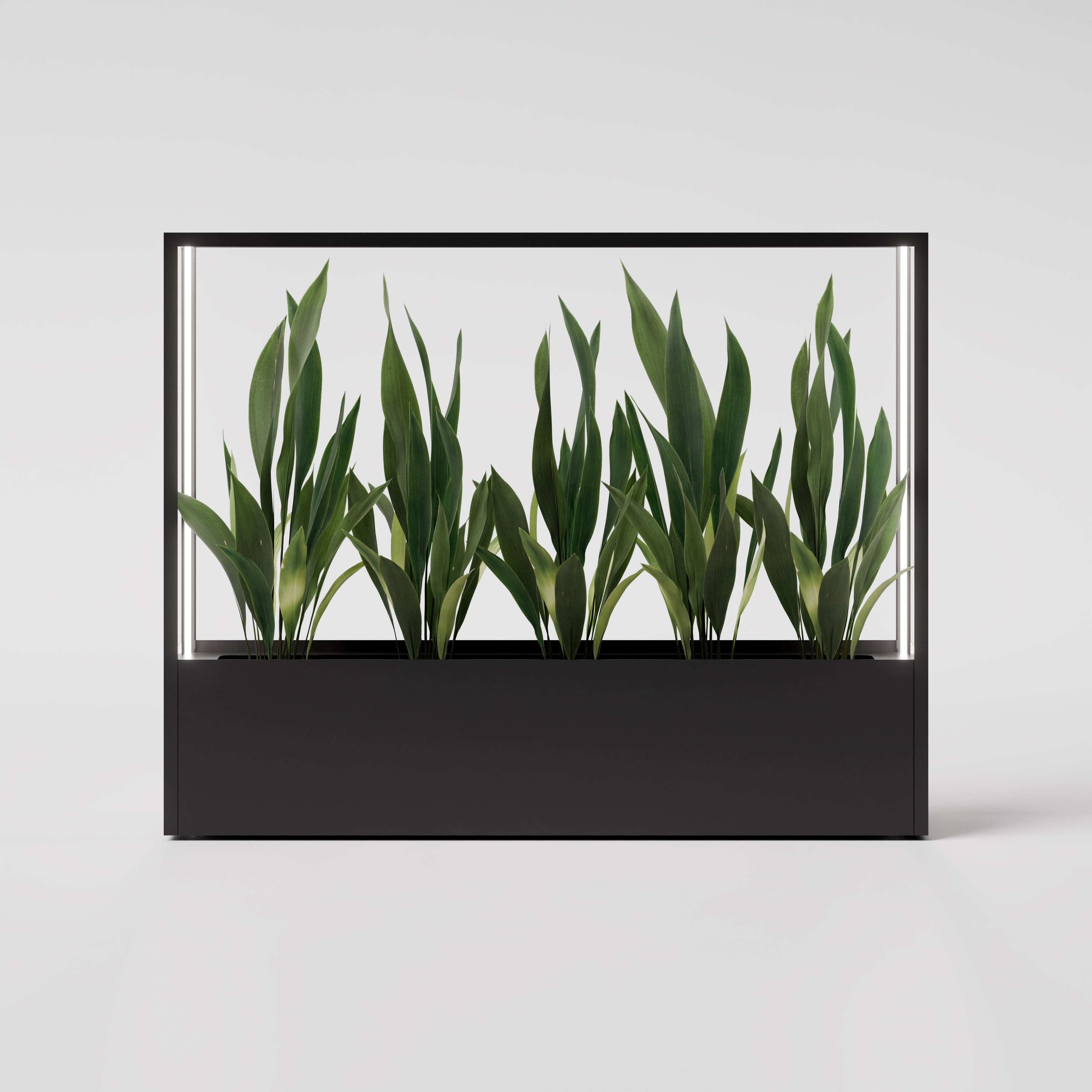 CUBE planted wall 2000 x 1600