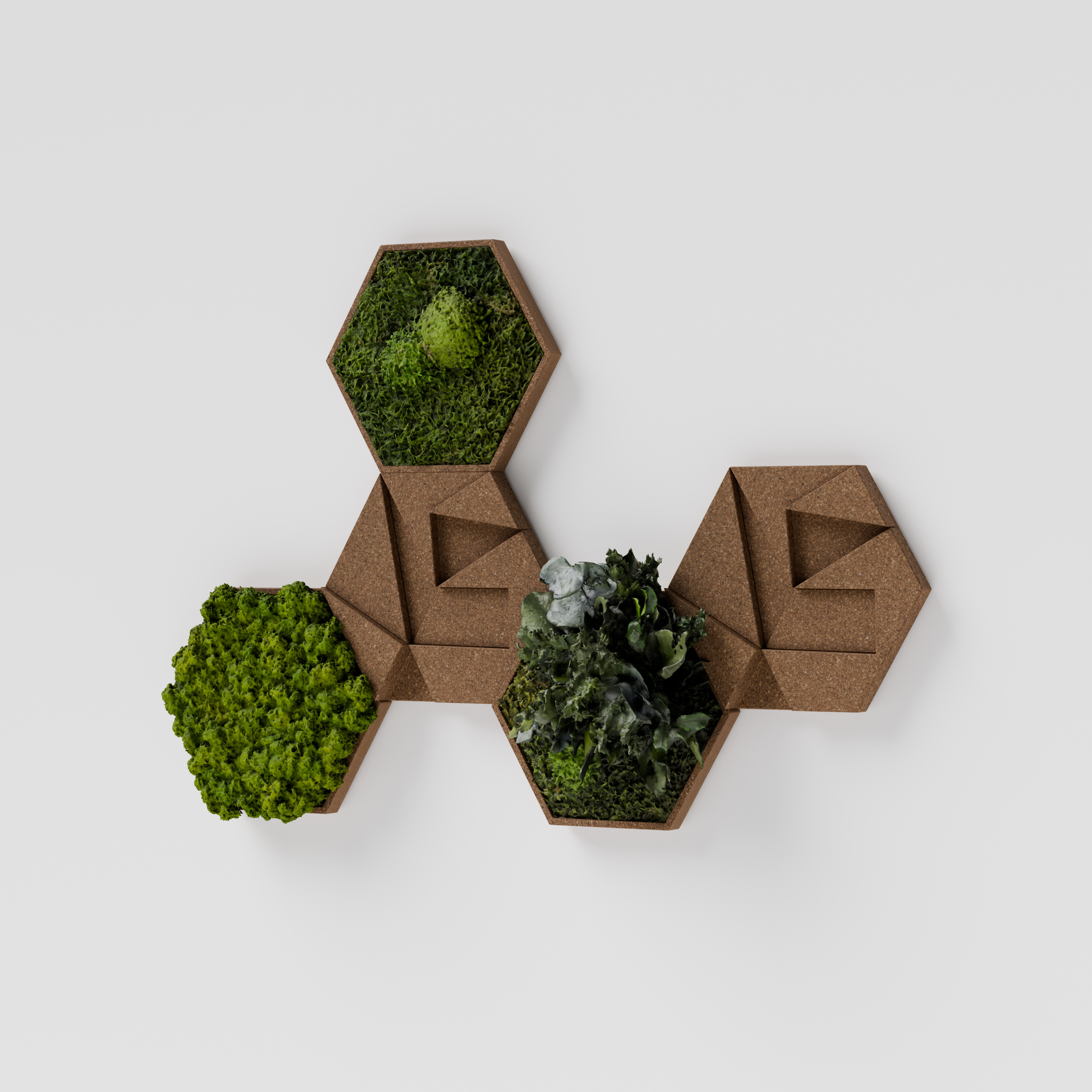 Kork-Hexagon 5er Set