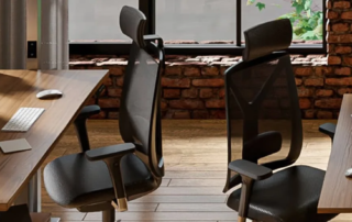 Lordosenstützen – ergonomische Unterstützung für rückenschonendes Sitzen im Büro