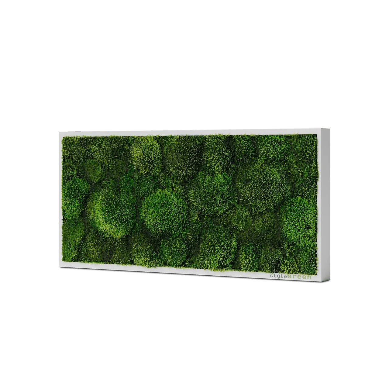 StyleGreen Kugelmoosbild 57x27 – nachhaltige Wanddekoration aus echtem Moos bei Schultz