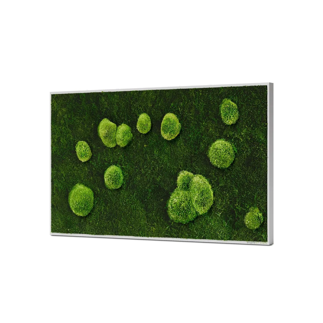 StyleGreen Wald- und Kugelmoosbild 100x60 – natürliche Wanddekoration aus echtem Moos bei Schultz