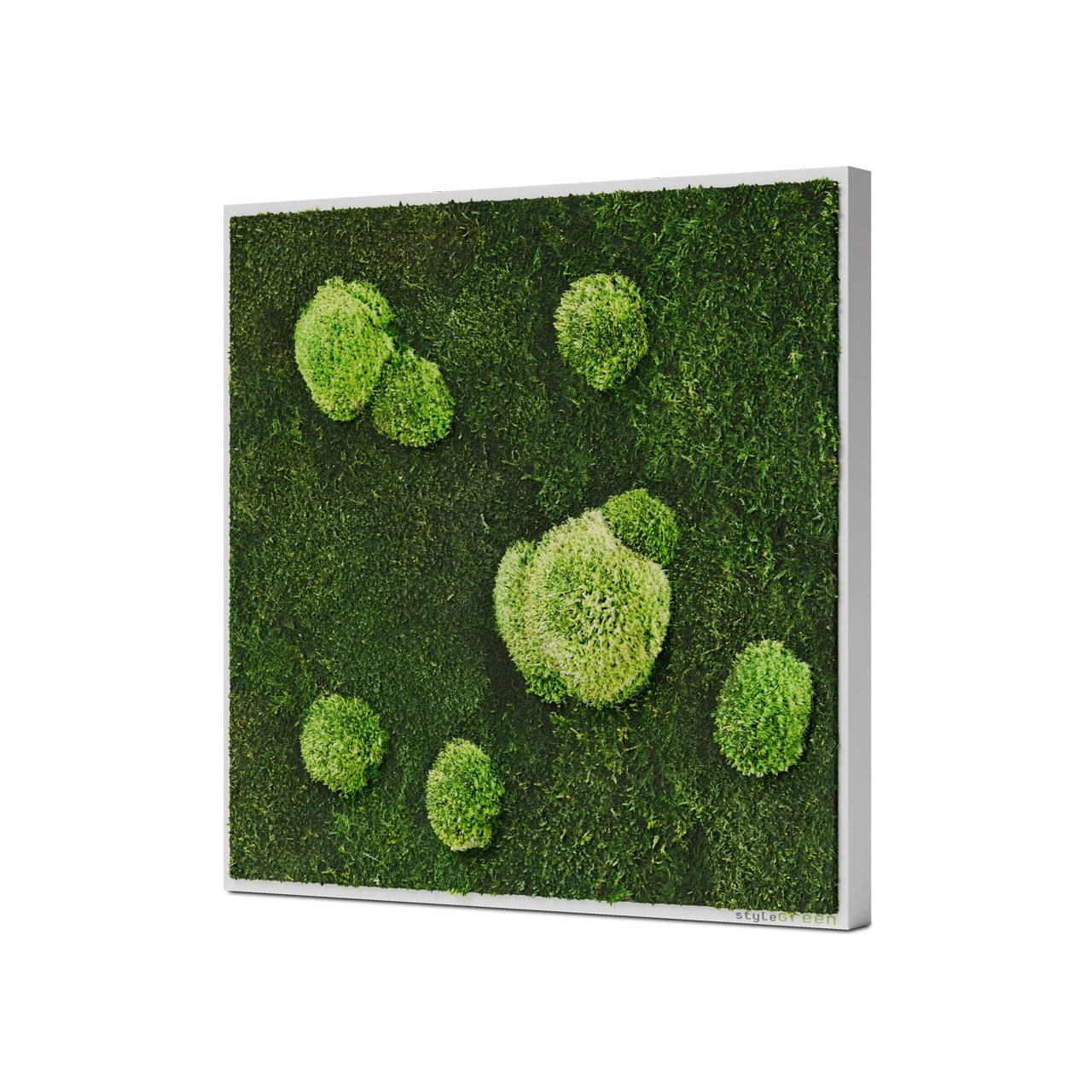 Wald- und Kugelmoosbild 55x55 – natürliche Wanddekoration aus echtem Moos bei Schultz